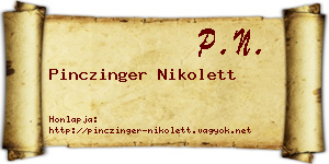 Pinczinger Nikolett névjegykártya